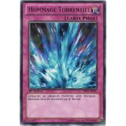 BP01-FR051 Hommage Torrentiel Rare