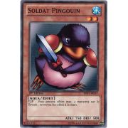 BP01-FR057 Soldat Pingouin Commune