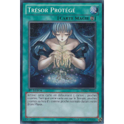 DRLG-FR013 Trésor Protégé Secret Rare