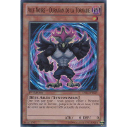 DRLG-FR029 Aile Noire - Ouragan de la Tornade Super Rare