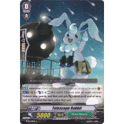 BT13/101EN Telescope Rabbit Common (C)