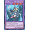 DRLG-EN004 Dark Magician Girl the Dragon Knight Secret Rare