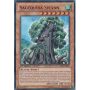 PRIO-FR021 Sagequoia Sylvan Ultra Rare