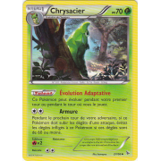 XY2_2/106 Chrysacier Peu commune