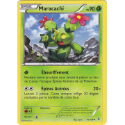 XY2_10/106 Maracachi Peu commune