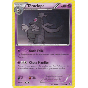 XY2_39/106 Téraclope Peu commune