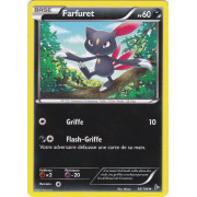 XY2_50/106 Farfuret Peu commune