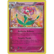 XY2_66/106 Florges Holo Rare