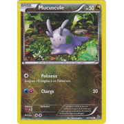 Mucuscule