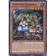 PRIO-EN025 Traptrix Dionaea Rare