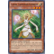 SDLI-EN012 Lumina, Lightsworn Summoner Commune