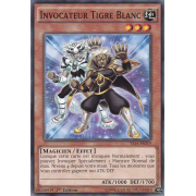 YS14-FR019 Invocateur Tigre Blanc Commune