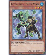 YS14-FR020 Invocateur Tortue Verte Commune