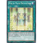 YS14-FR021 Mur de Magie Enchanteur Commune