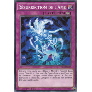 YS14-FR037 Résurrection de l'Ame Commune