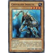 BP01-FR115 Chevalier Insecte Commune