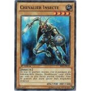 Chevalier Insecte