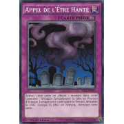 YS14-FRA13 Appel de l'Être Hanté Commune