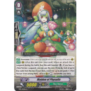 BT14/100EN Maiden of Physalis Common (C)