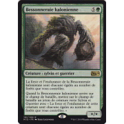 M15_182/269 Bessonneraie kalonienne Rare