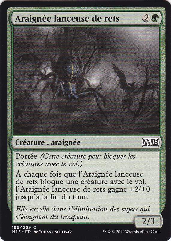 Araignée lanceuse de rets