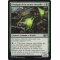 M15_190/269 Parangon de la nature éternelle Peu commune