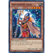 YS14-ENA06 Amazoness Sage Commune