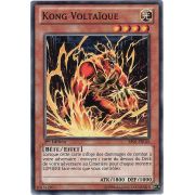 BP01-FR144 Kong Voltaïque Commune