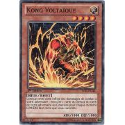 Kong Voltaïque