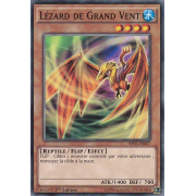 BP03-FR007 Lézard de Grand Vent Commune