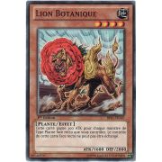 BP01-FR145 Lion Botanique Commune