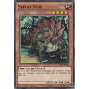 BP03-FR025 Stégo Noir Commune