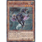 Velociraptor Noir