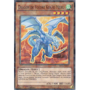 Dragon de Foudre Koa'ki Meiru