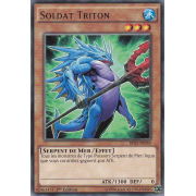 BP03-FR059 Soldat Triton Rare