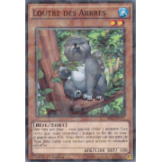 Loutre des Arbres