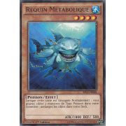 BP03-FR068 Requin Métabolique Rare