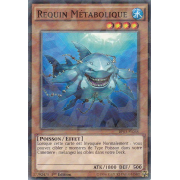 Requin Métabolique