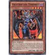 Valkyrie des Ténèbres