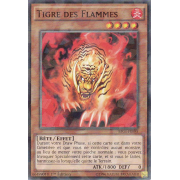 Tigre des Flammes