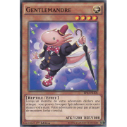 BP03-FR106 Gentlemandre Commune