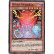 BP01-FR160 Gofer Ambitieux Commune