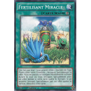 BP03-FR162 Fertilisant Miracle Commune