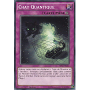 BP03-FR237 Chat Quantique Commune