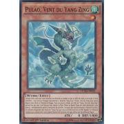 DUEA-FR031 Pulao, Vent du Yang Zing Super Rare