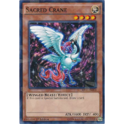 Sacred Crane