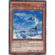 BP01-FR184 Oiseau Furtif Commune