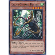 Cross-Sword Beetle