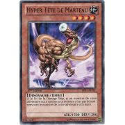 Hyper Tête de Marteau