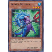 Spined Gillman